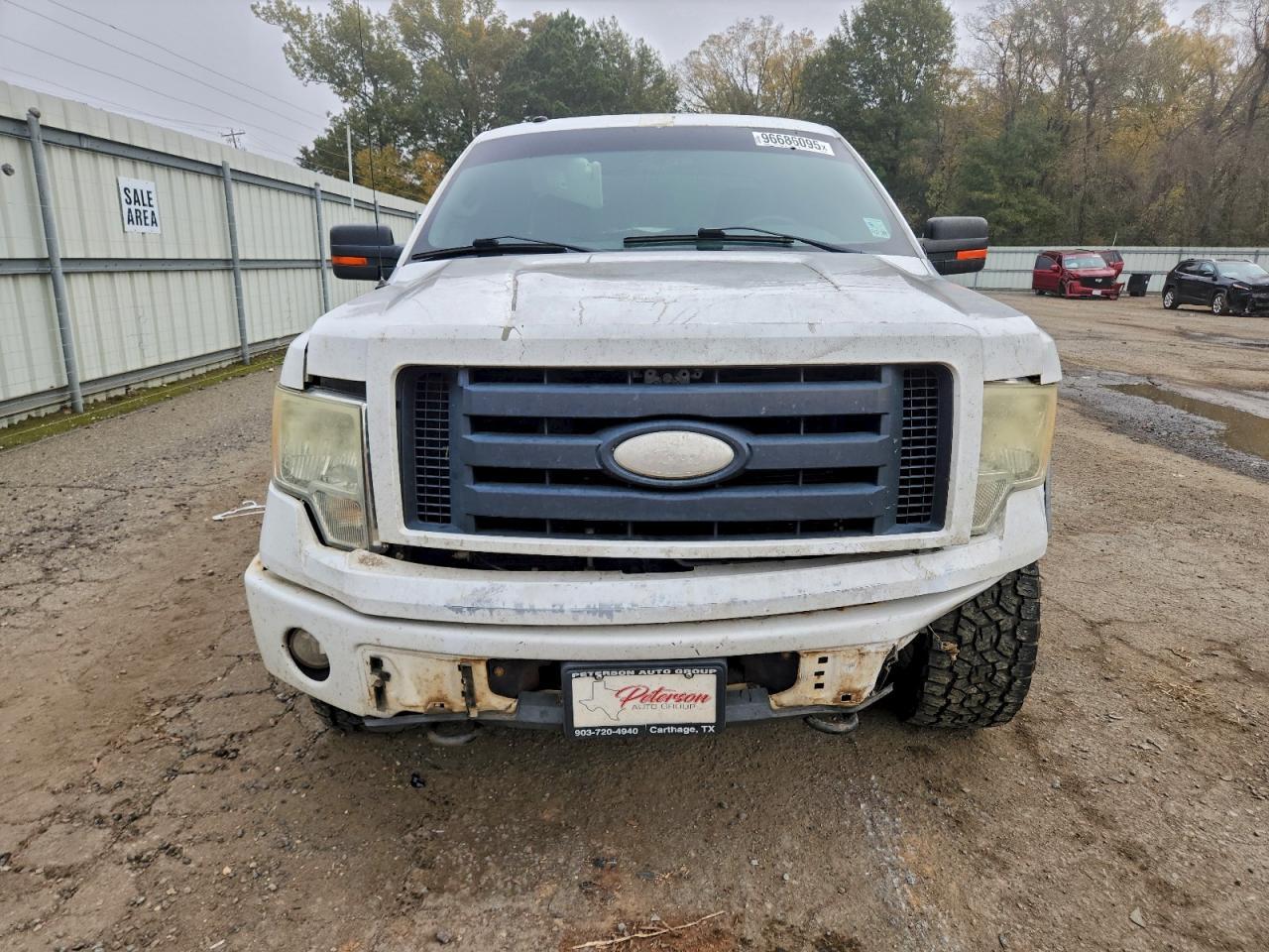 2009 FORD F-150