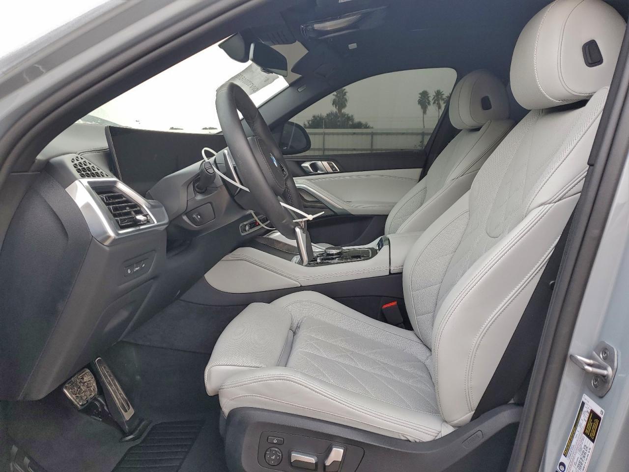 2025 BMW X6