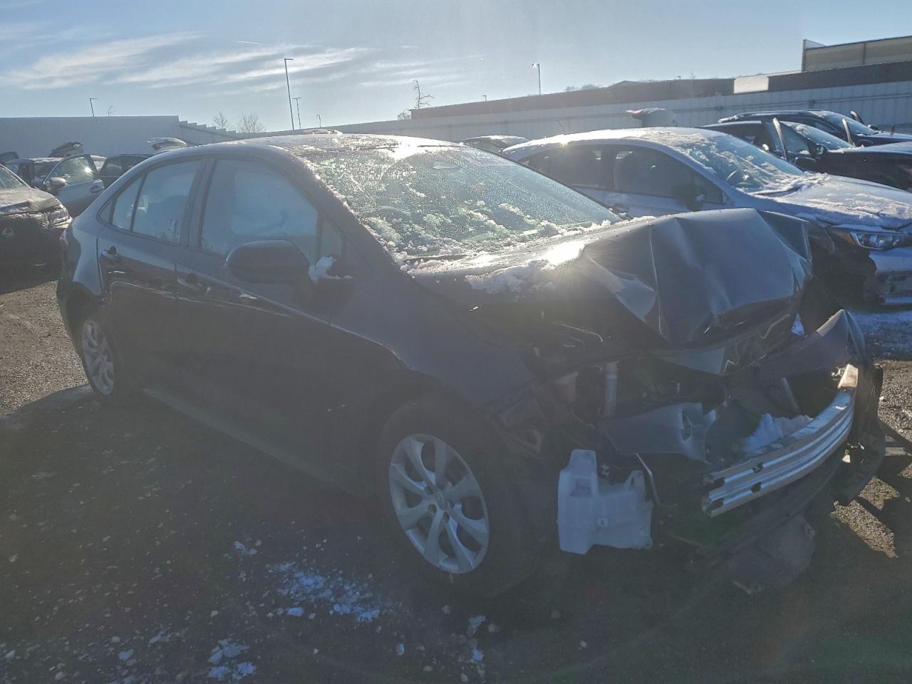 2023 TOYOTA COROLLA