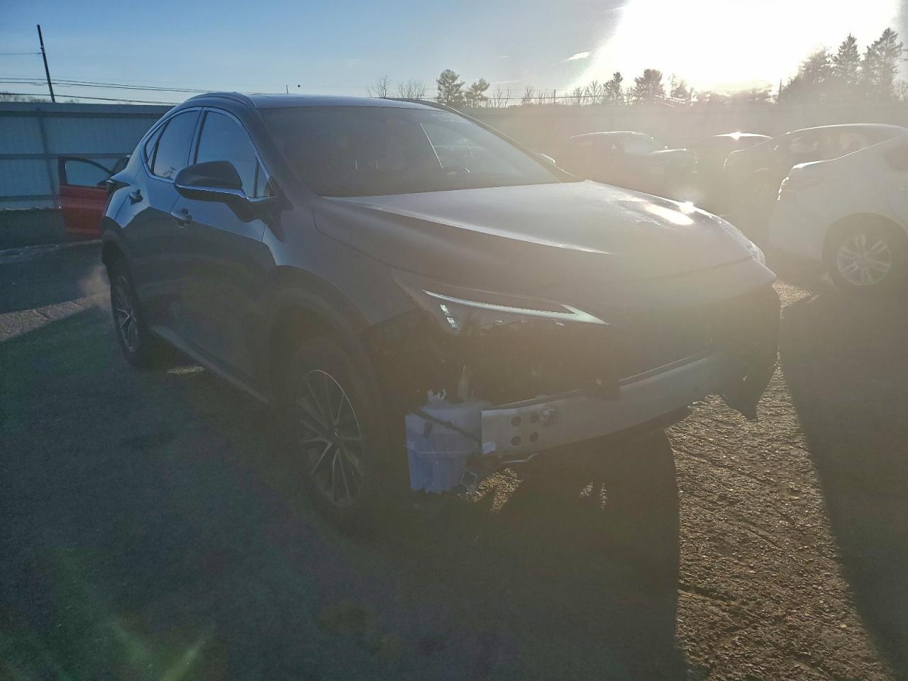2025 LEXUS NX 350