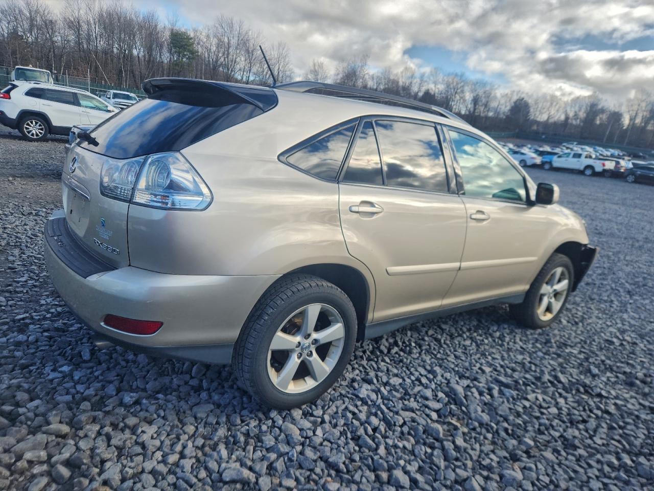 2004 LEXUS Rx 330