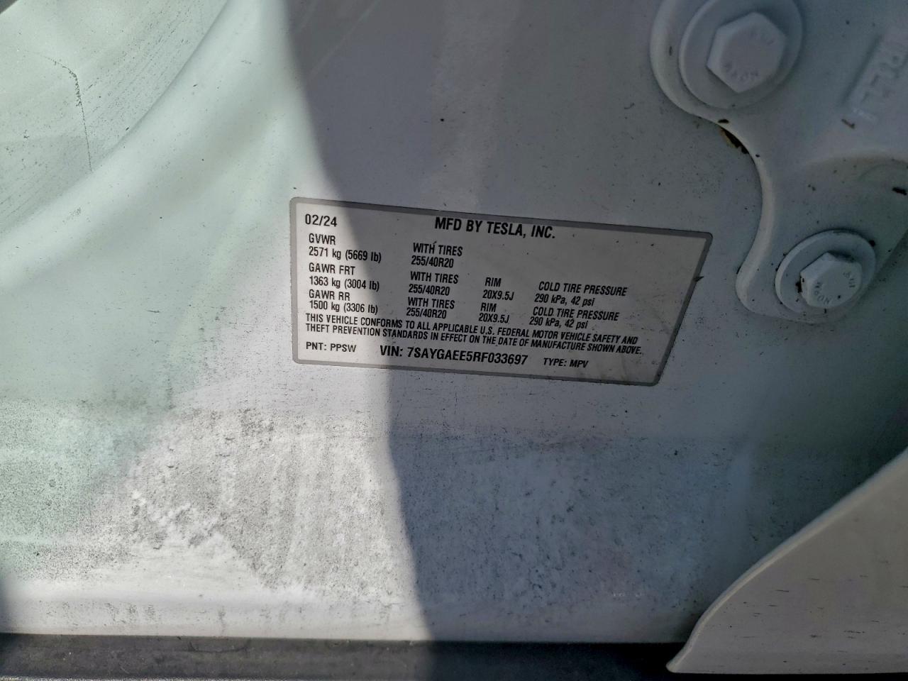 2024 TESLA MODEL Y