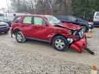 2009 FORD ESCAPE