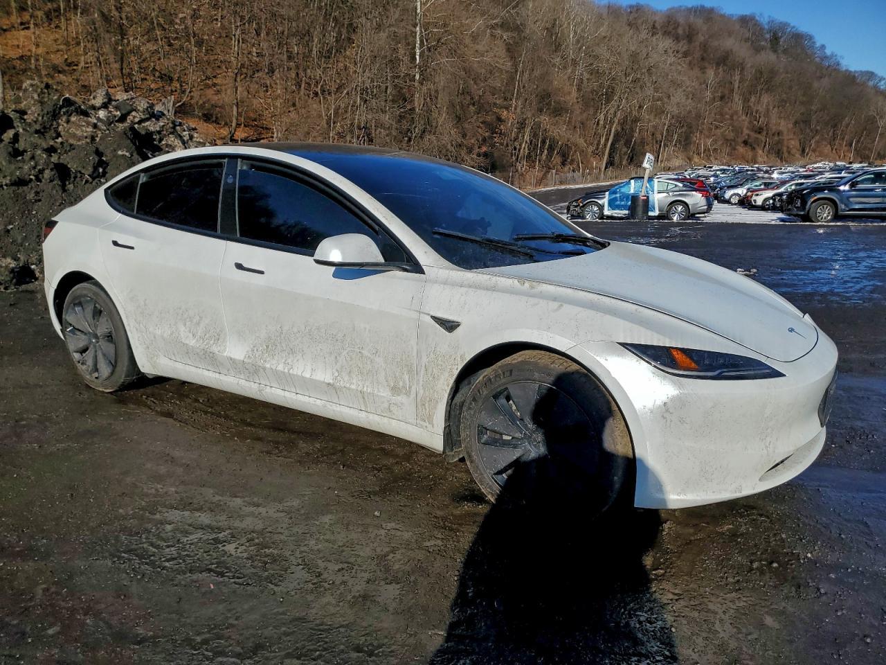 2024 TESLA MODEL 3