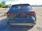 2024 LEXUS RX 350