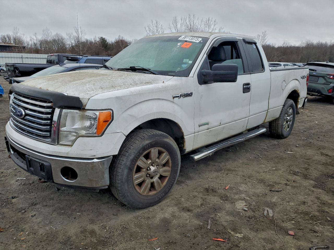 2011 FORD F-150