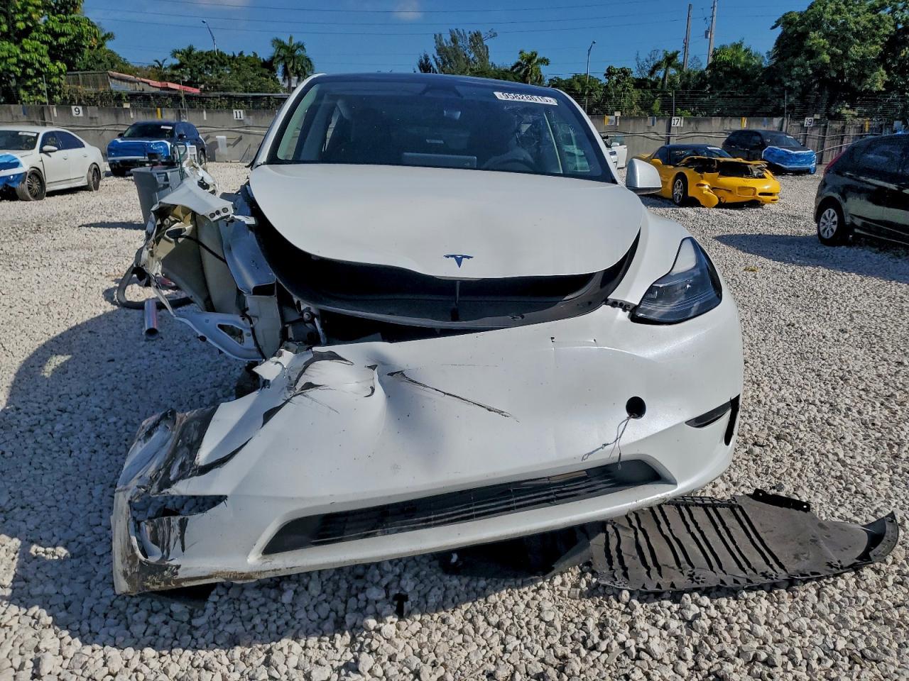 2024 TESLA MODEL Y