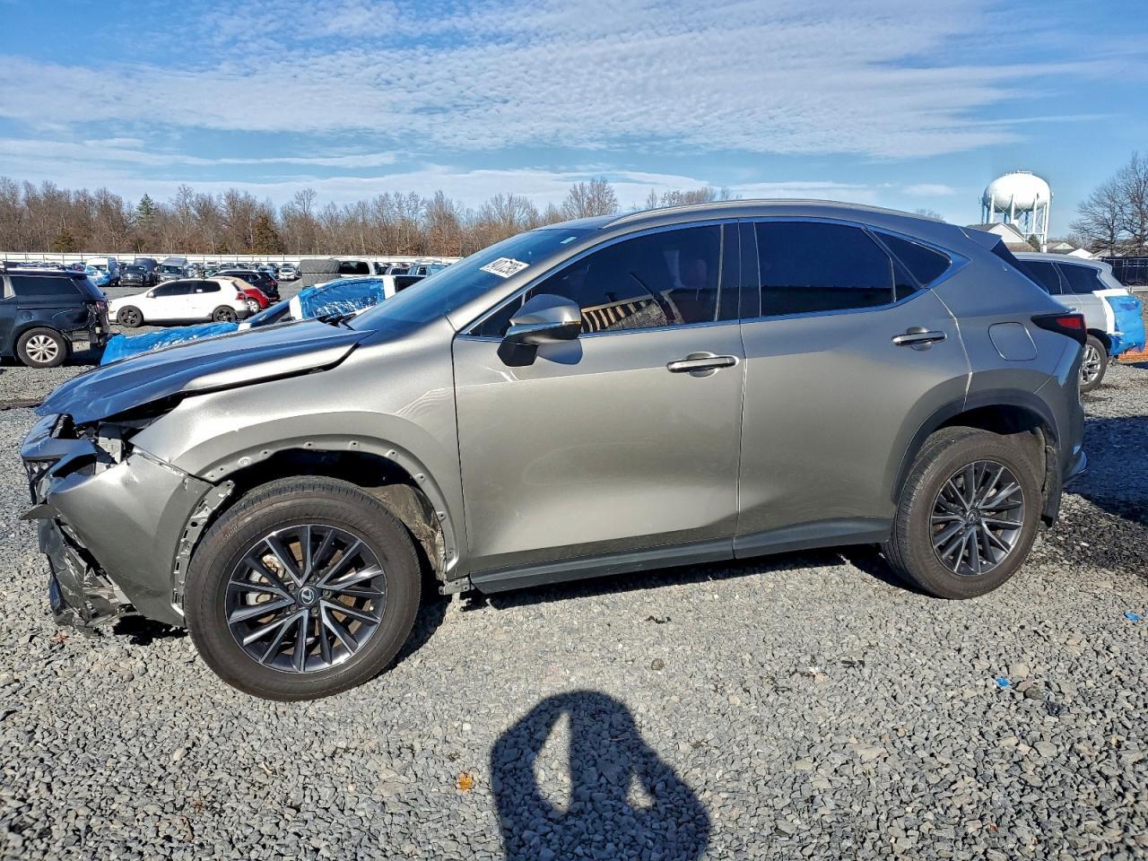 2024 LEXUS NX 250