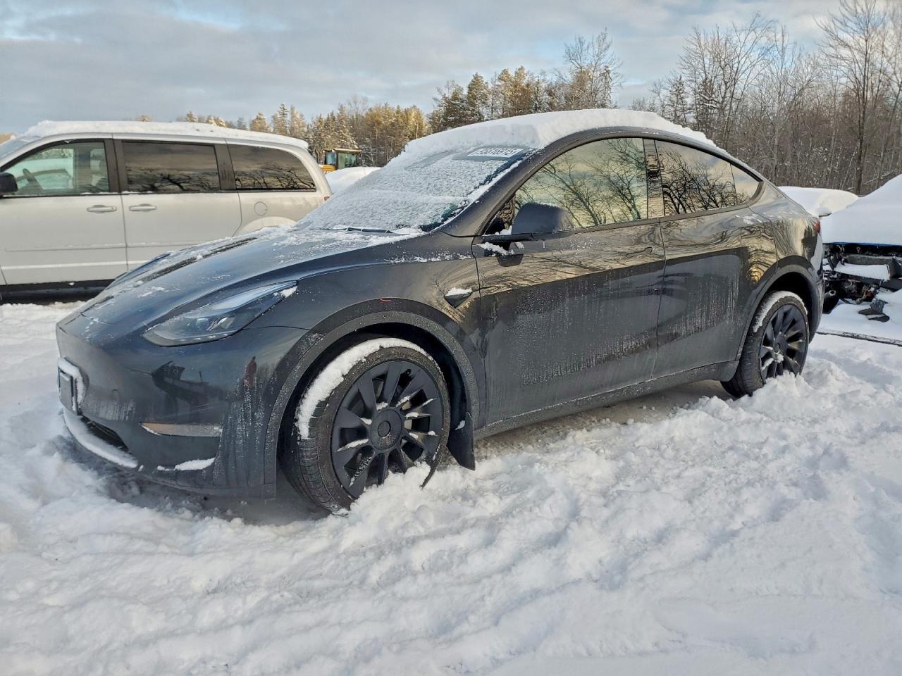 2025 TESLA MODEL Y