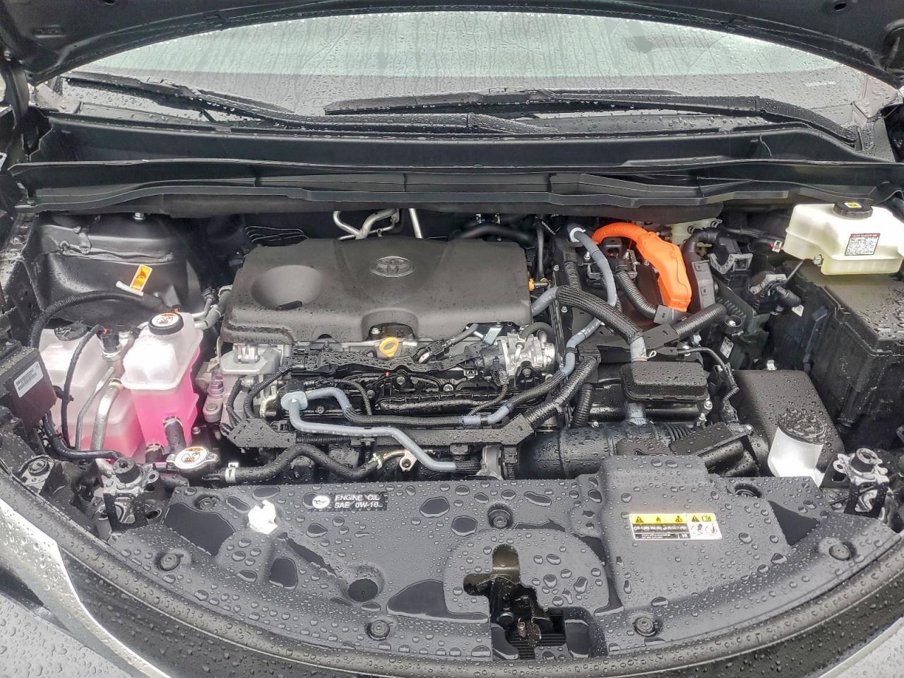2025 TOYOTA SIENNA