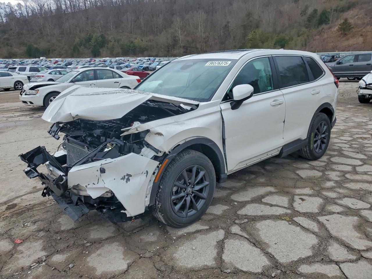 2026 HONDA CR-V