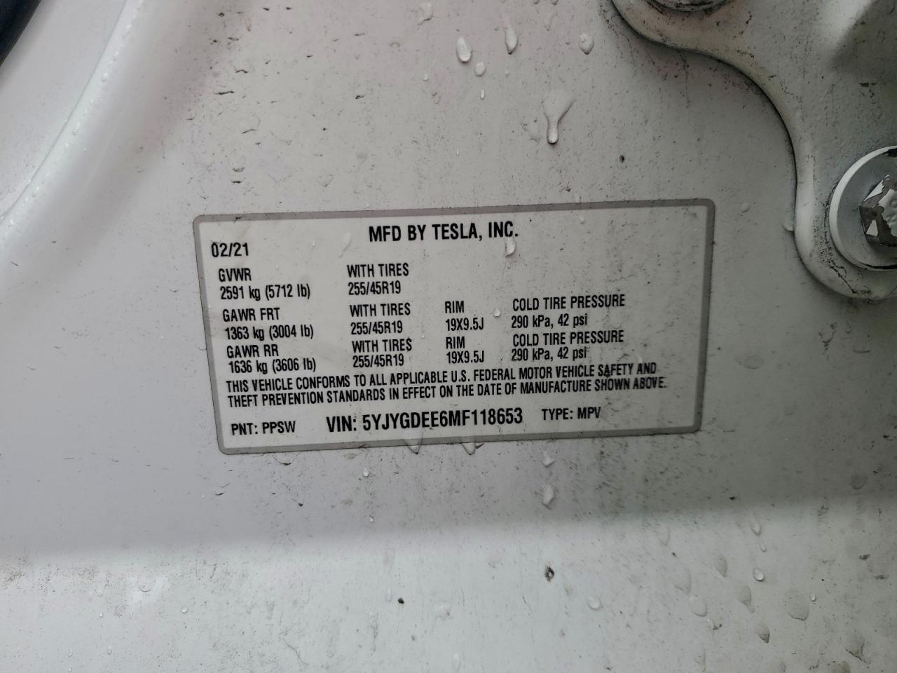 2021 TESLA MODEL Y
