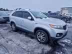 2011 KIA SORENTO