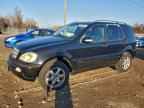 2003 MERCEDES-BENZ ML-Class