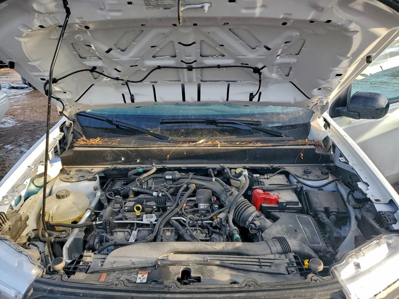 2024 FORD Maverick