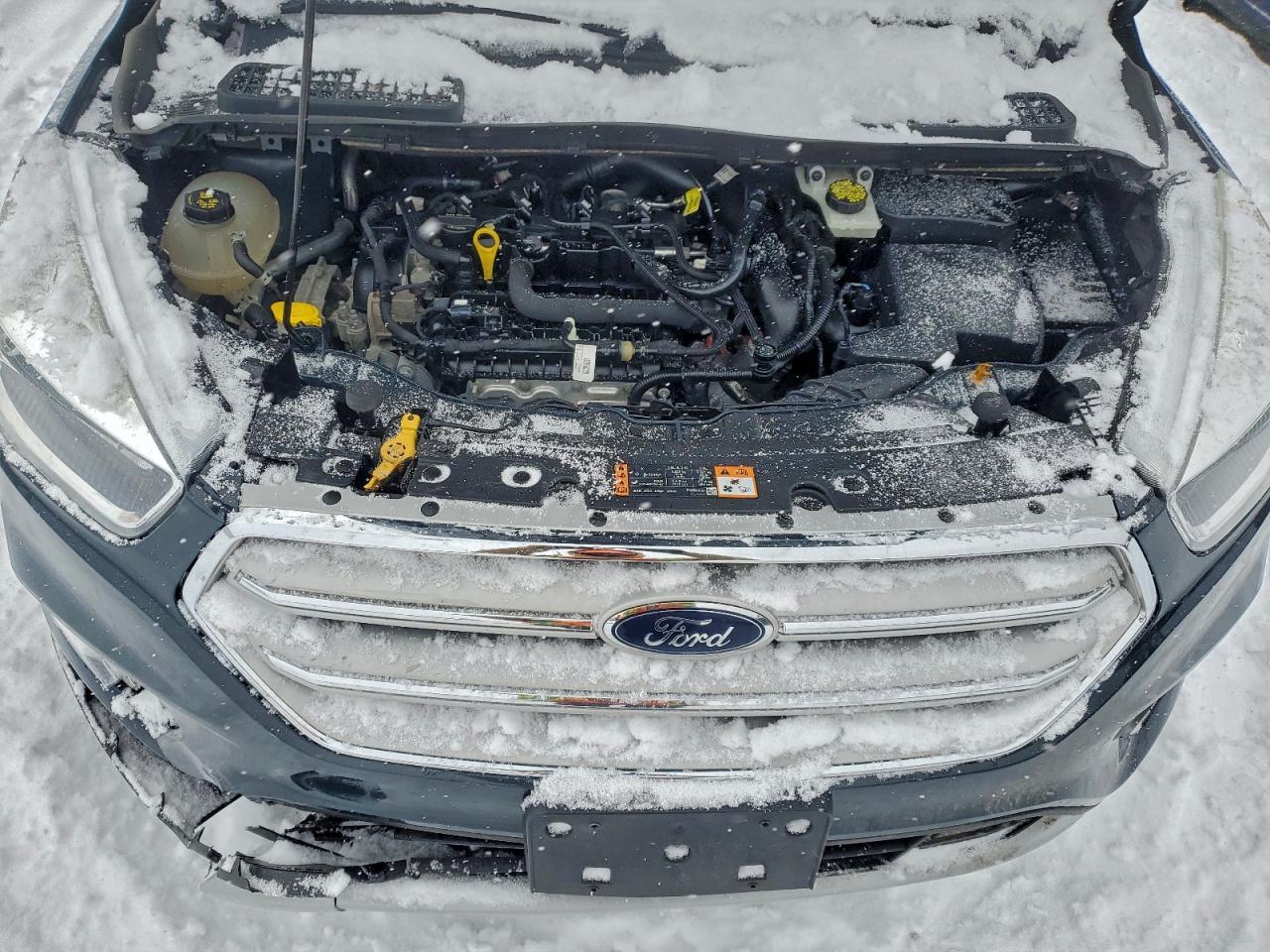2019 FORD ESCAPE