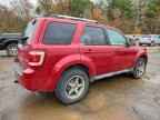 2010 FORD ESCAPE