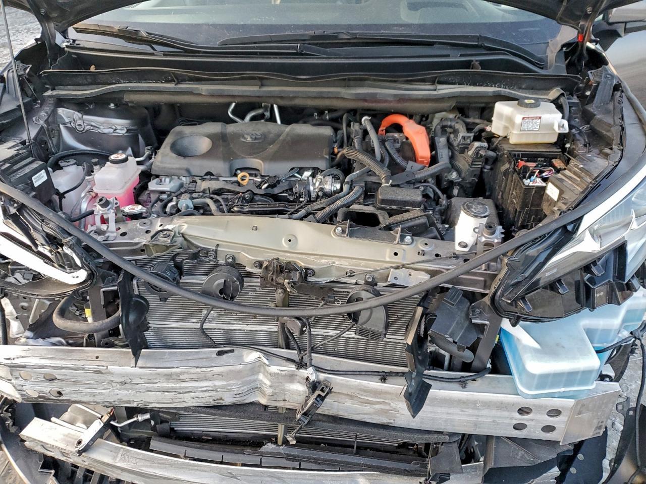 2023 TOYOTA SIENNA