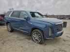 2025 CADILLAC ESCALADE
