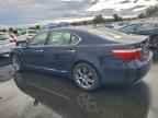 2009 LEXUS LS 460