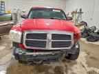2005 DODGE Dakota