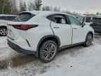 2022 LEXUS NX 350