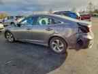 2019 HONDA Insight
