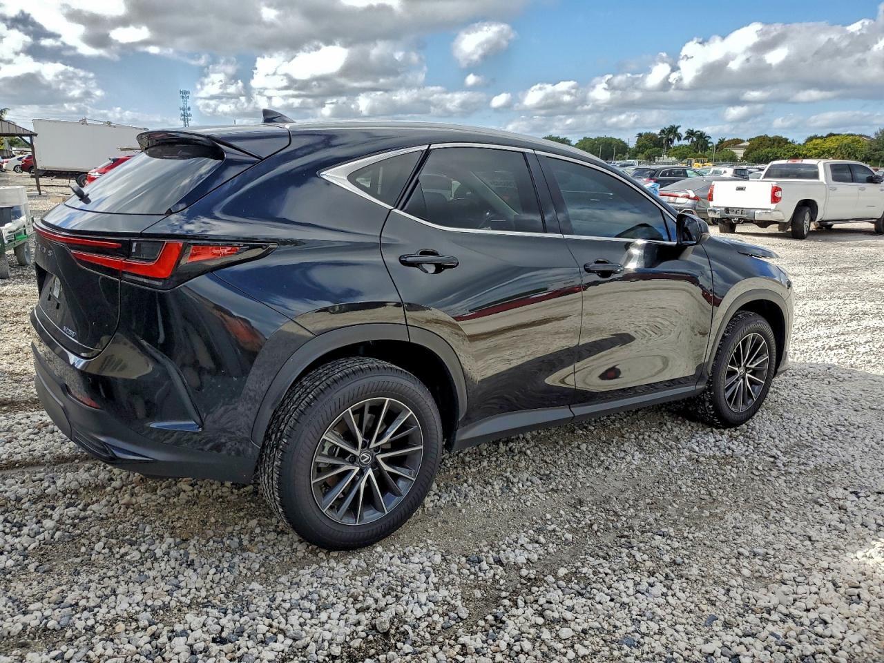 2025 LEXUS NX 250