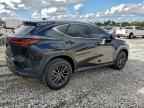 2025 LEXUS NX 250