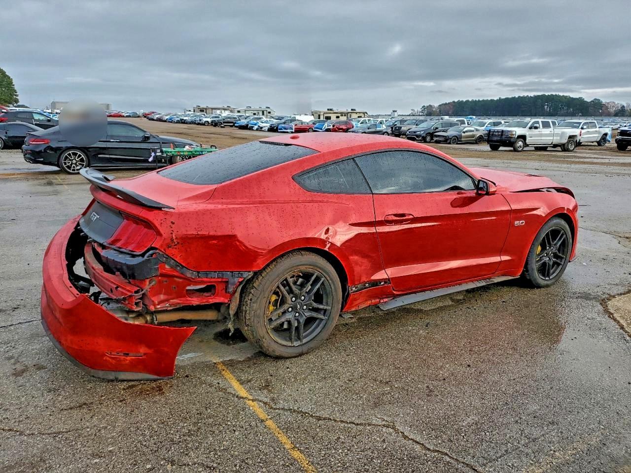 2019 FORD MUSTANG