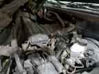 2003 TOYOTA Sequoia