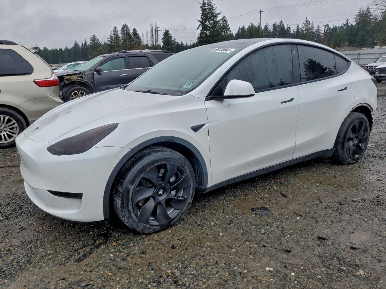 2021 TESLA MODEL Y