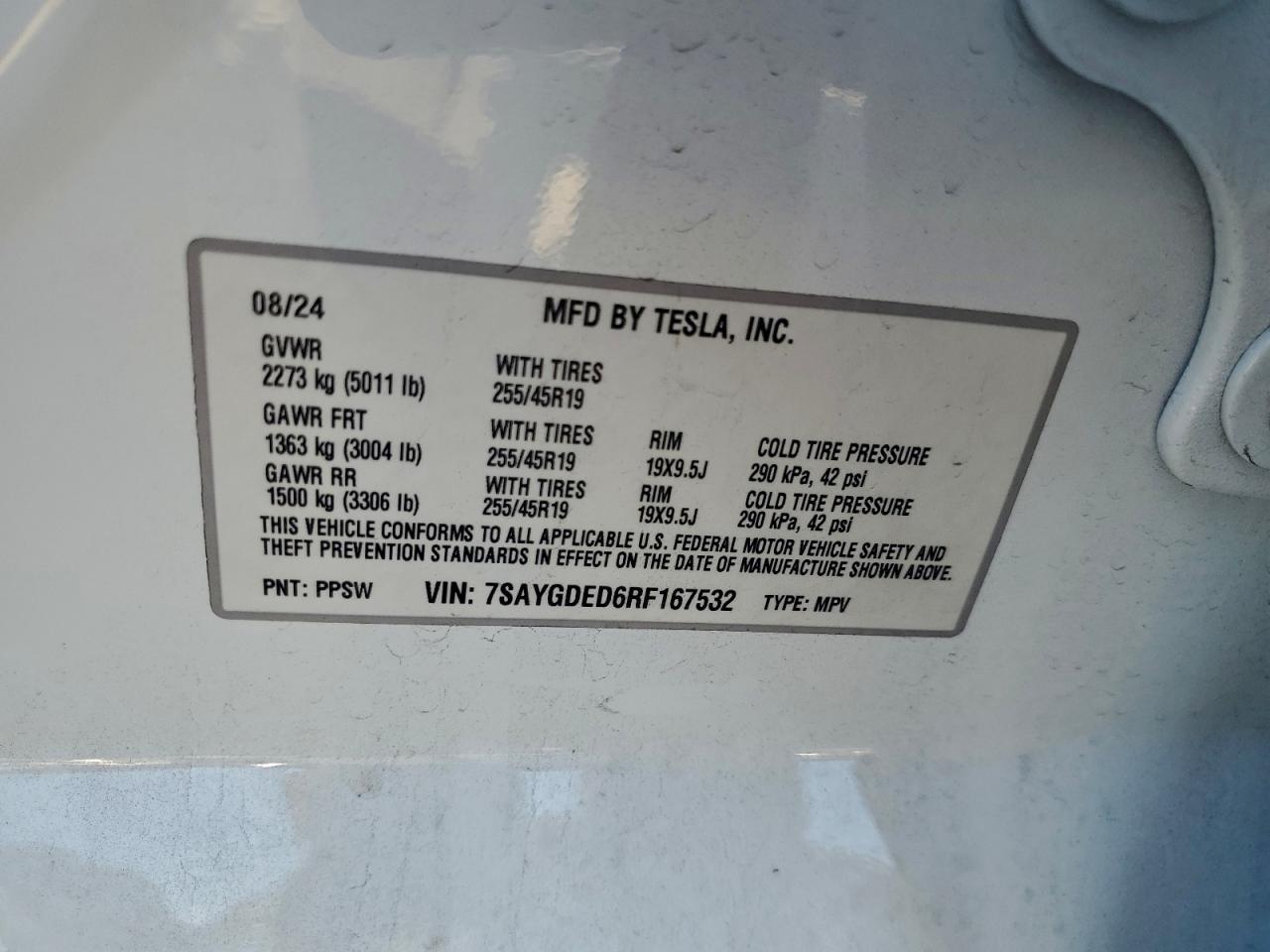 2024 TESLA MODEL Y