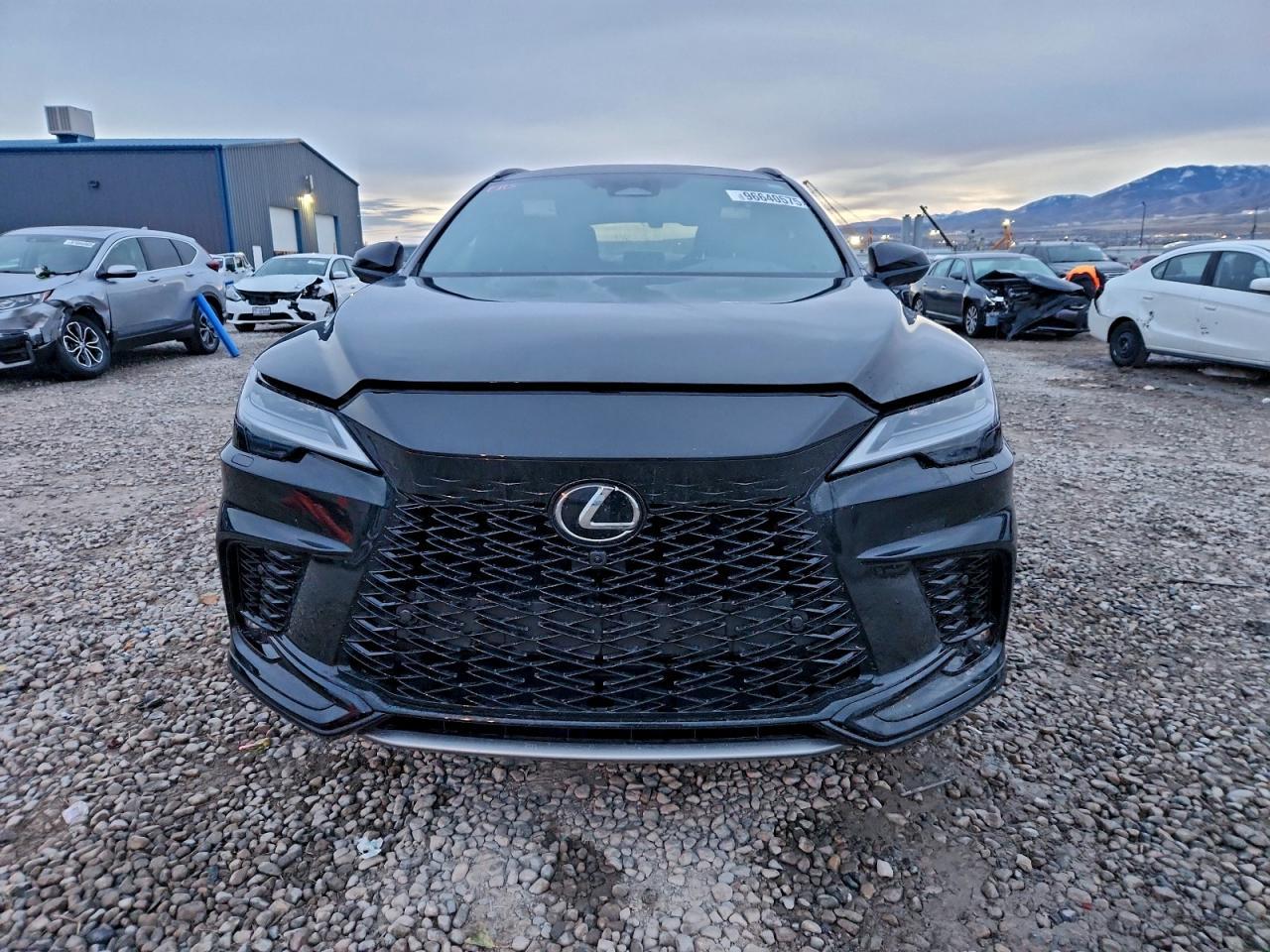 2023 LEXUS RX 500H