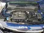 2023 KIA SELTOS
