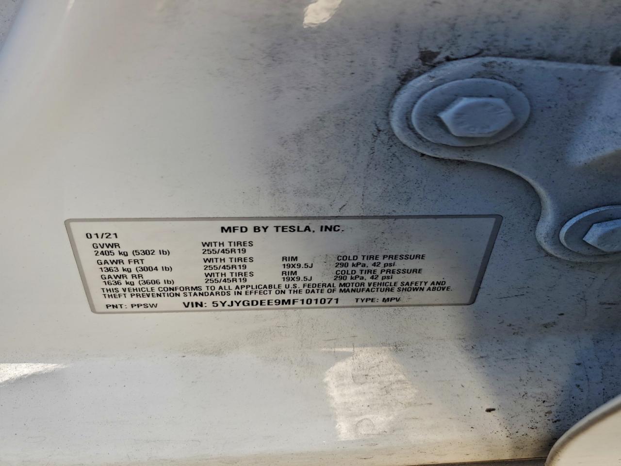 2021 TESLA MODEL Y