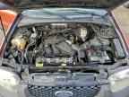 2006 FORD ESCAPE