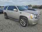 2007 CADILLAC ESCALADE
