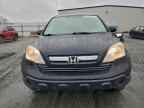 2007 HONDA CR-V