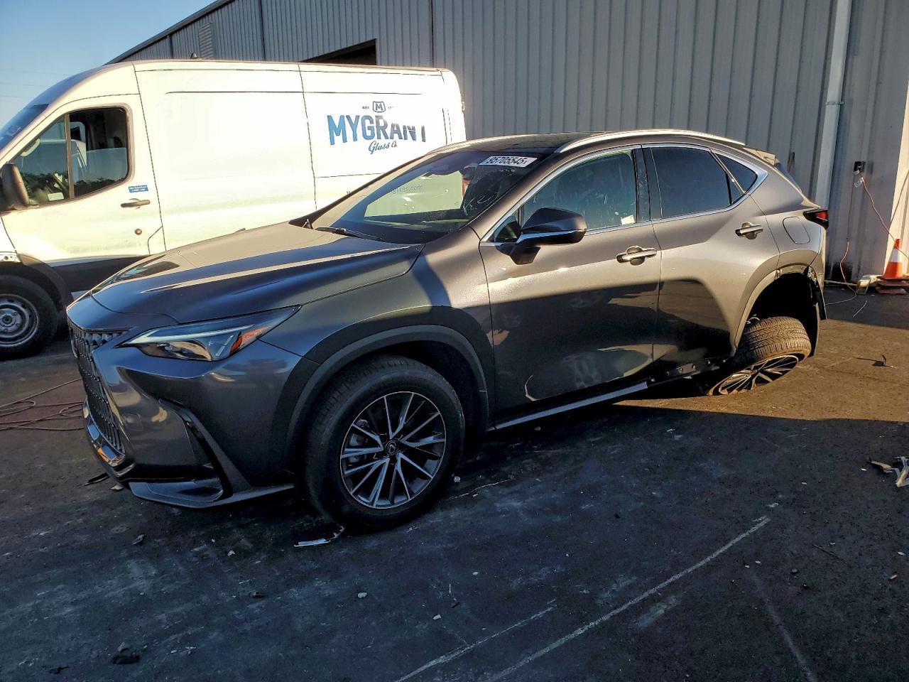 2025 LEXUS NX 250