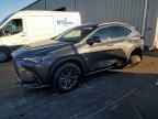 2025 LEXUS NX 250