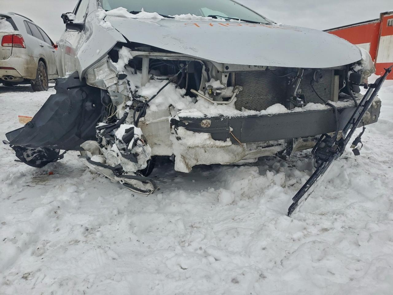 2019 TOYOTA COROLLA