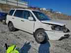 2004 HONDA PILOT