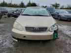 2007 TOYOTA COROLLA