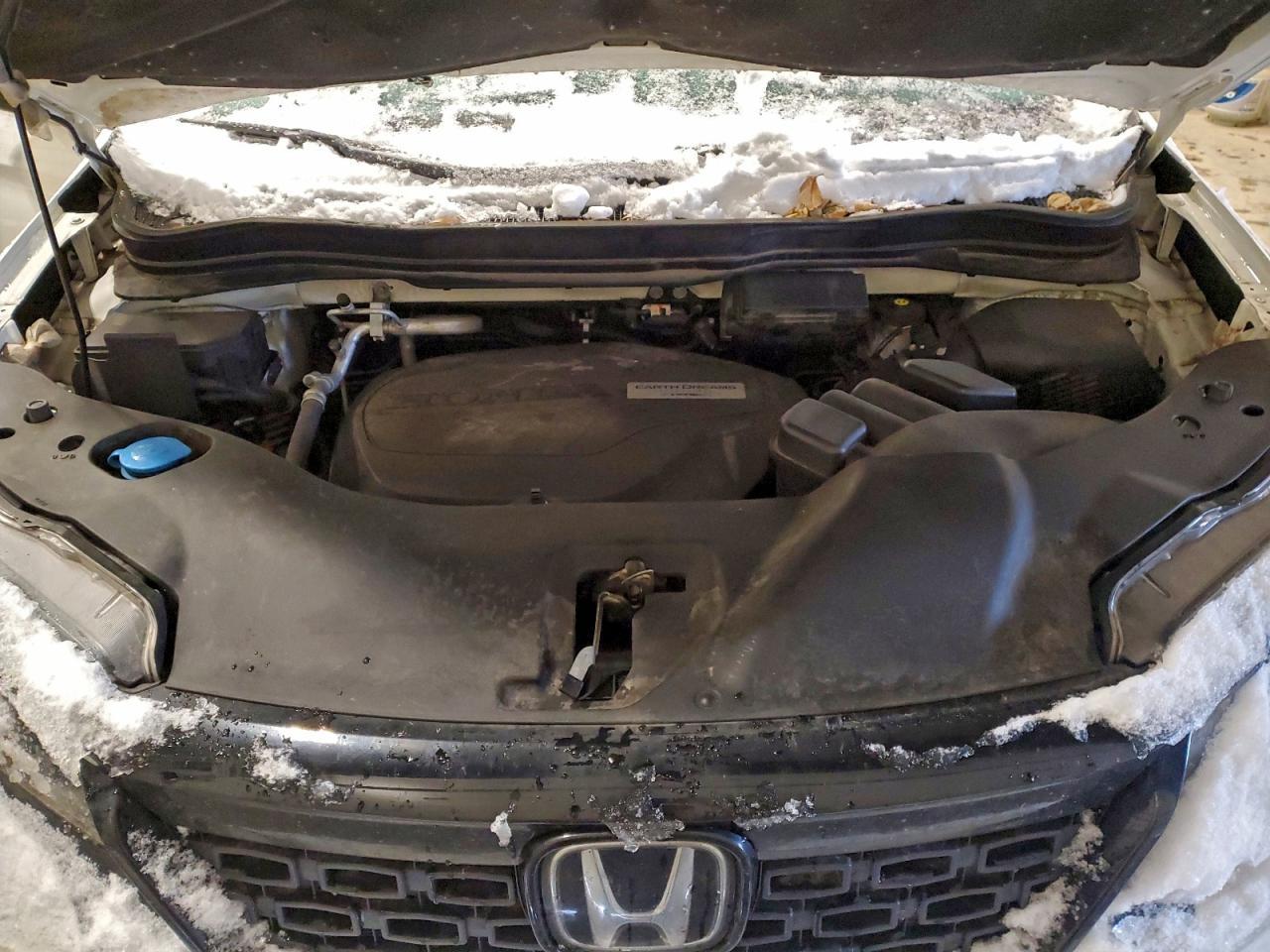 2019 HONDA Passport