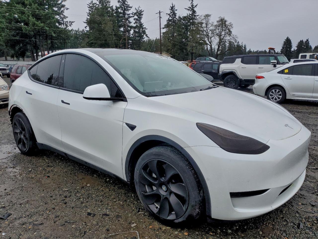 2021 TESLA MODEL Y