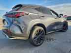 2024 LEXUS Nx
