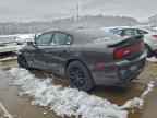 2014 DODGE CHARGER