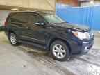 2013 LEXUS GX 460