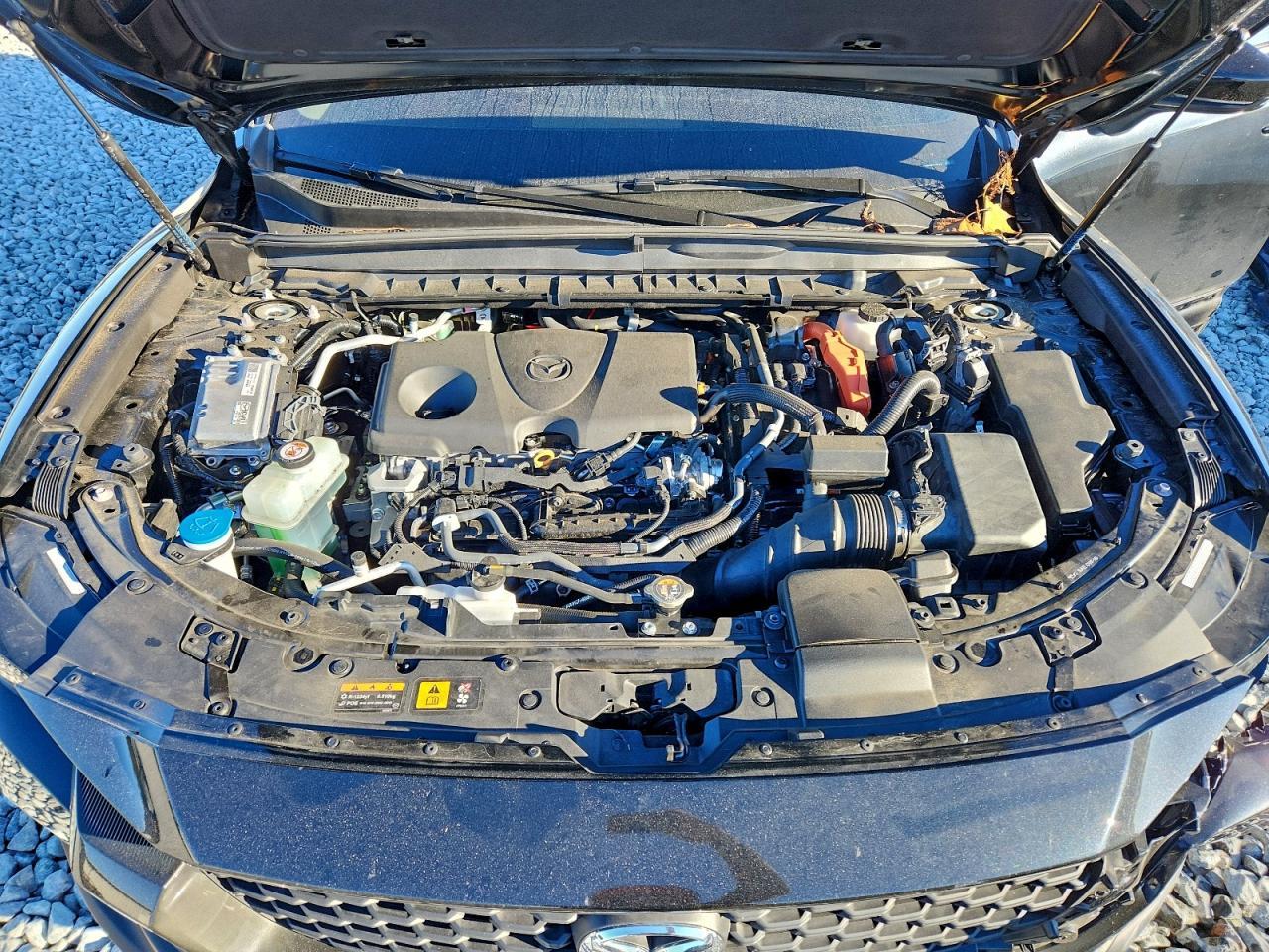 2025 MAZDA CX-50